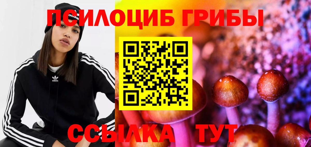 Псилоцибиновые грибы Psilocybine cubensis Советский