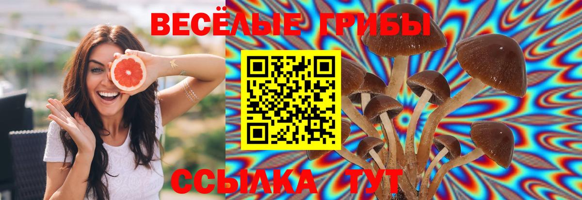 Галлюциногенные грибы MAGIC MUSHROOMS  Вход с VPN  Советский 